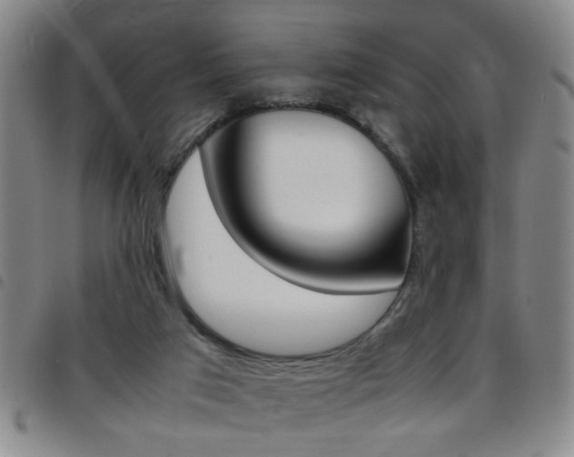 X0000097820017200803140816