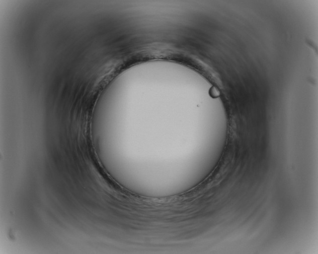 X0000097820018200803140816