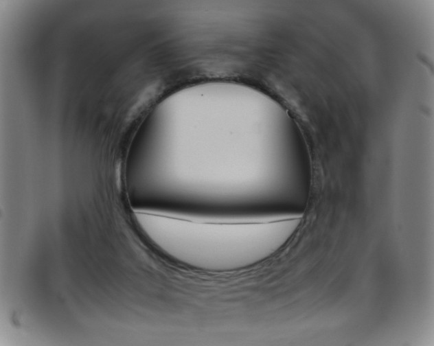 X0000097820019200803140816