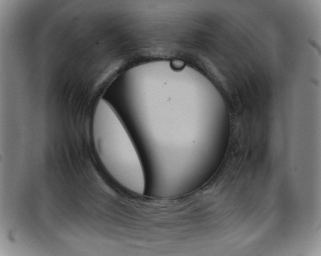 X0000097820020200803140816