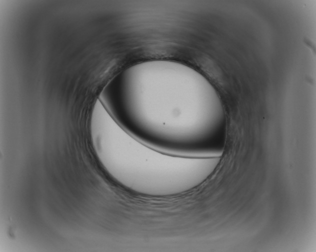 X0000097820021200803140816