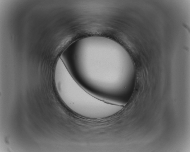 X0000097820023200803140816