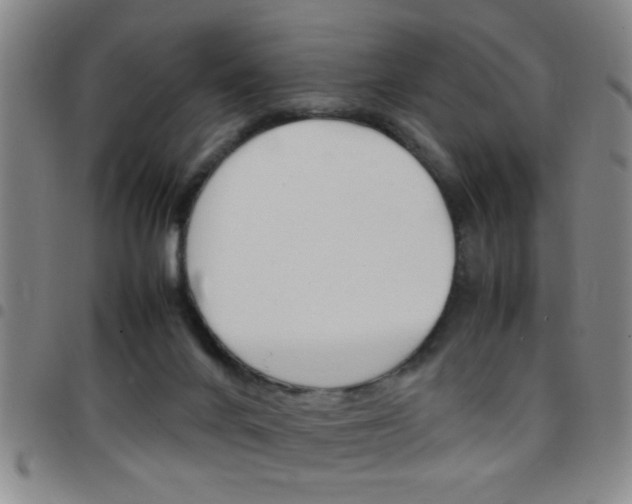 X0000097820024200803140816