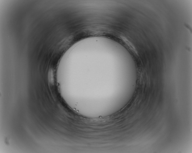 X0000097820026200803140816