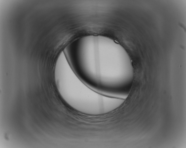 X0000097820027200803140816