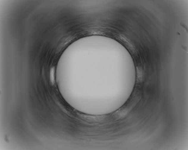 X0000097820028200803140816