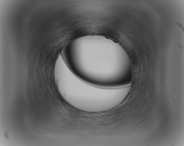 X0000097820029200803140816