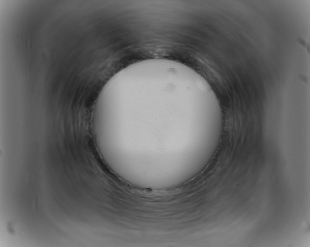 X0000097820030200803140816