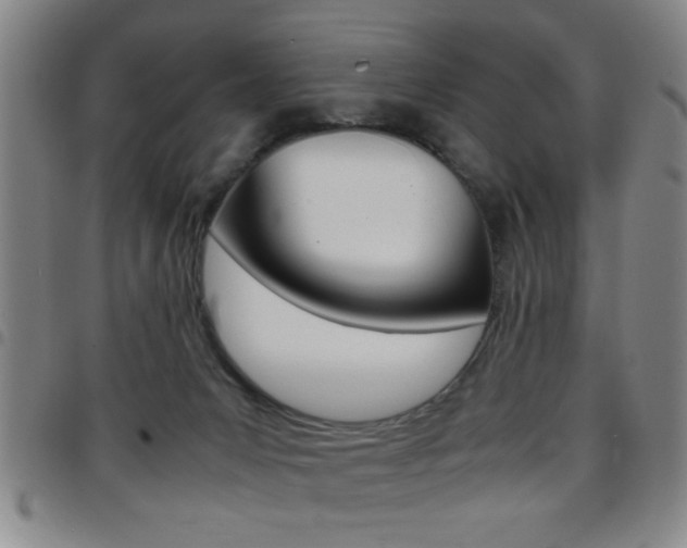 X0000097820031200803140816