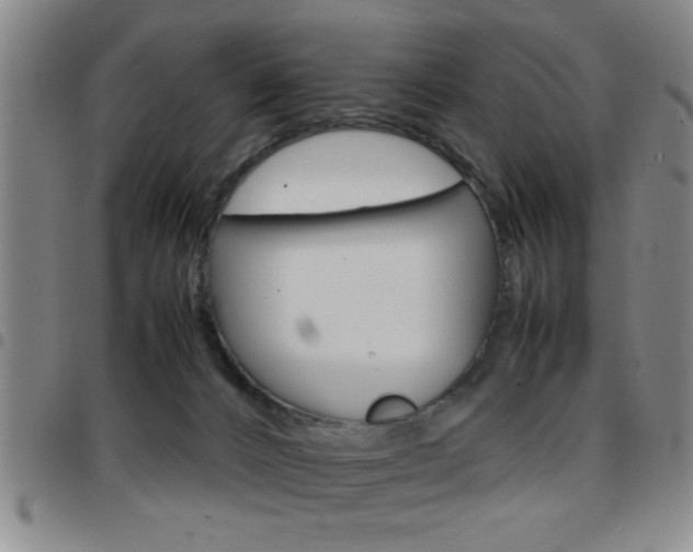 X0000097820032200803140816