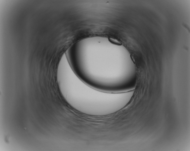 X0000097820033200803140816