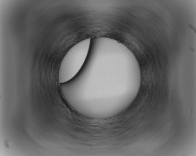 X0000097820034200803140816