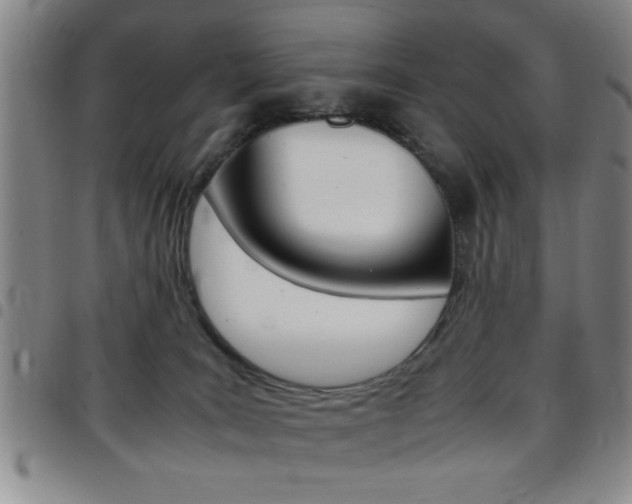 X0000097820035200803140815