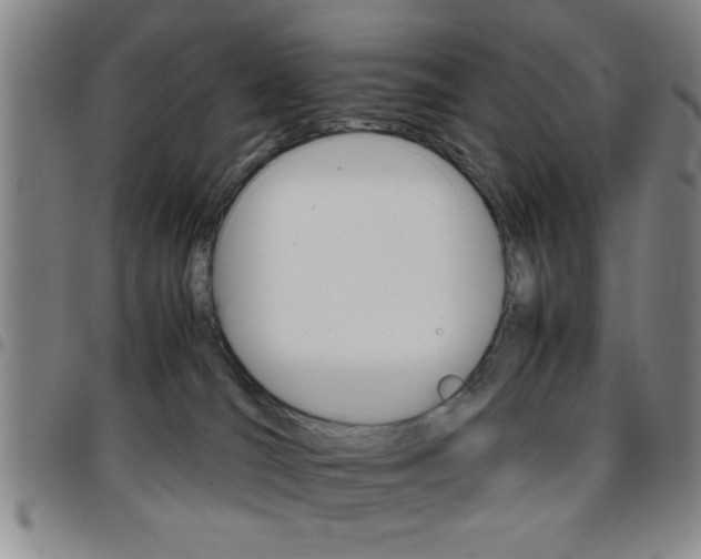 X0000097820036200803140815