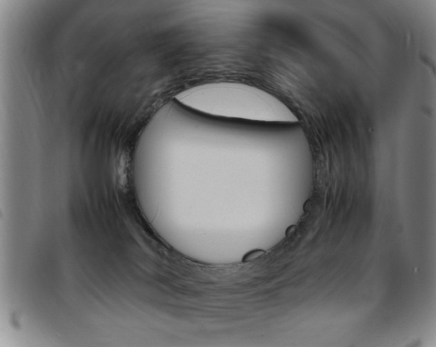 X0000097820038200803140815