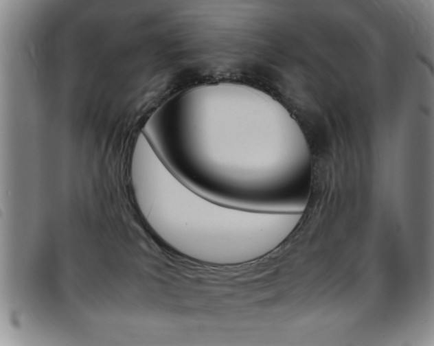 X0000097820039200803140815