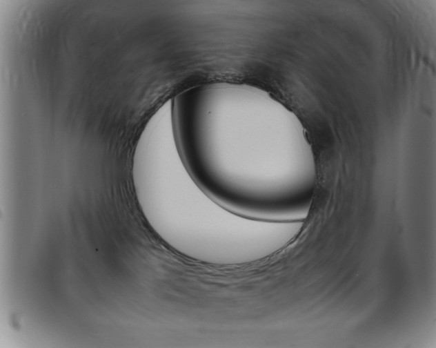 X0000097820041200803140815