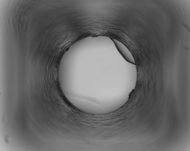 X0000097820043200803140815