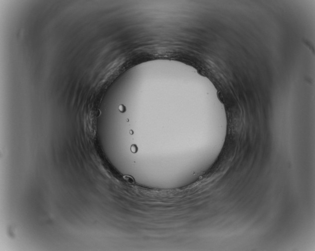 X0000097820044200803140815