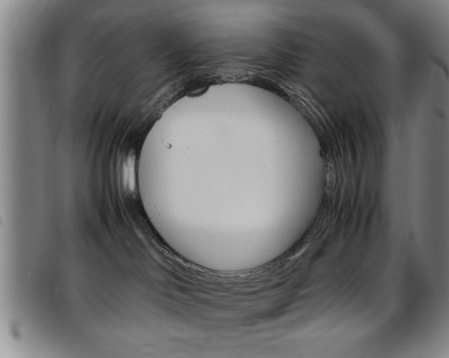 X0000097820046200803140815