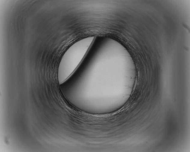 X0000097820048200803140815