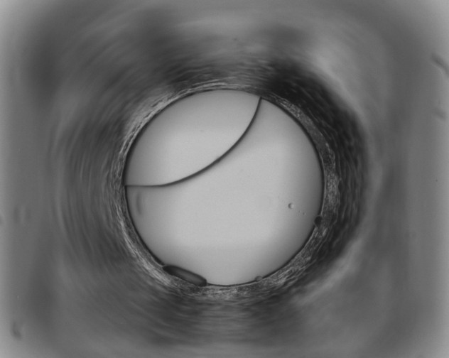 X0000097820049200803140815