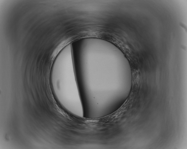 X0000097820051200803140815