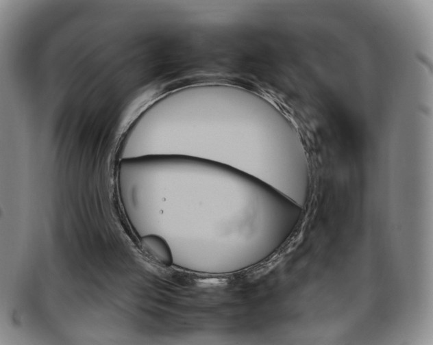 X0000097820053200803140815