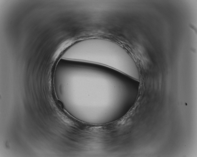 X0000097820054200803140815