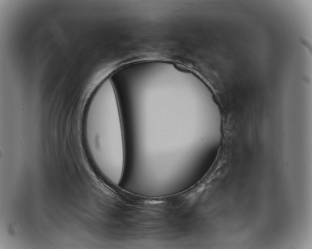 X0000097820055200803140815