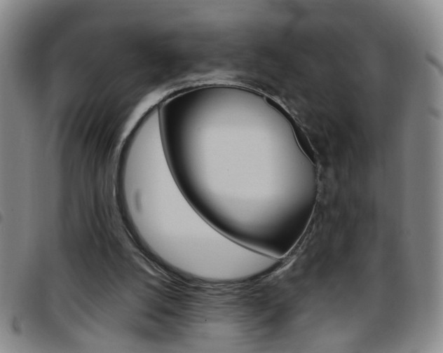 X0000097820056200803140815