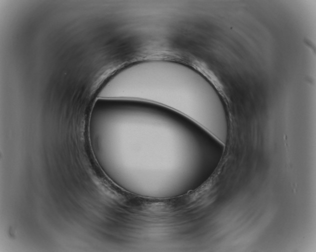 X0000097820058200803140815