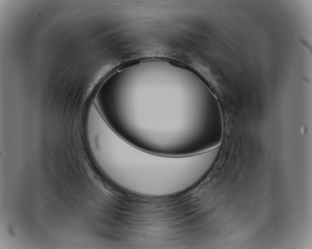 X0000097820060200803140815