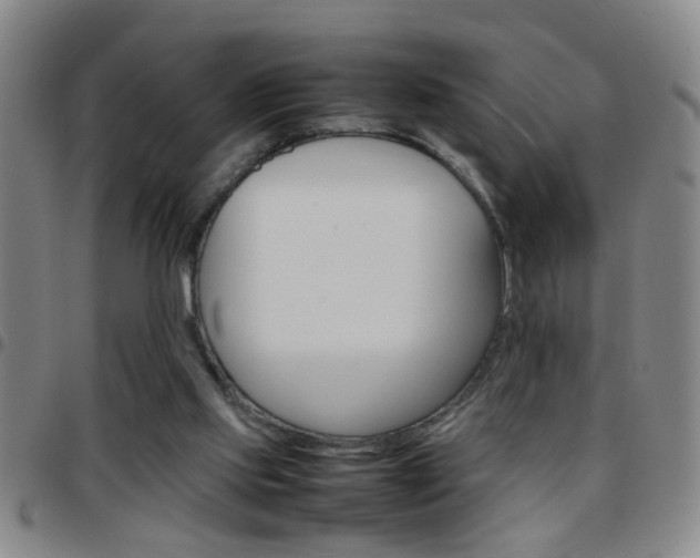 X0000097820061200803140815