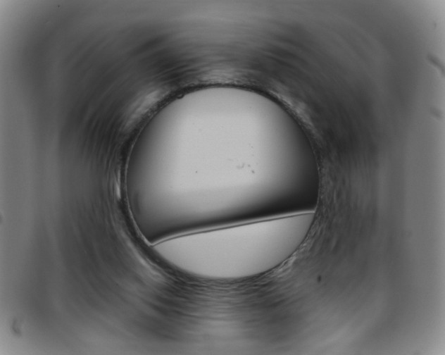 X0000097820062200803140815