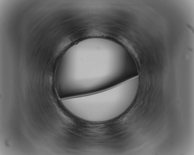 X0000097820063200803140815