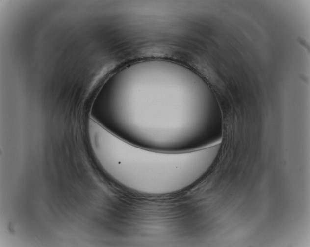 X0000097820064200803140815