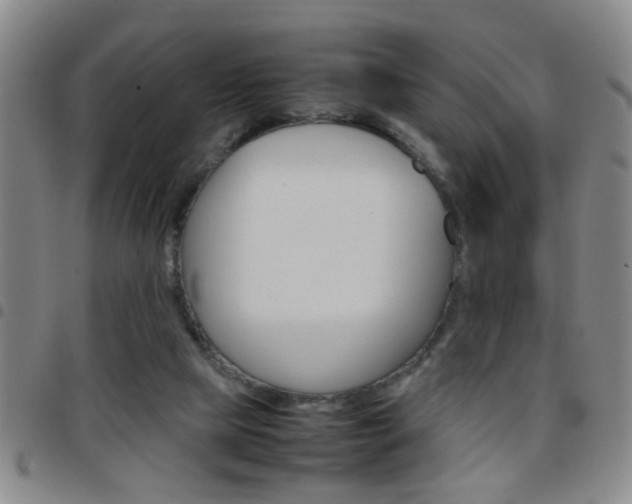 X0000097820065200803140815