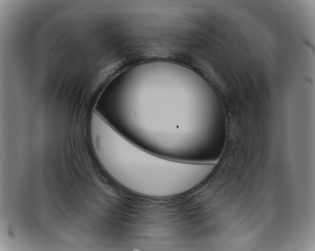 X0000097820068200803140815