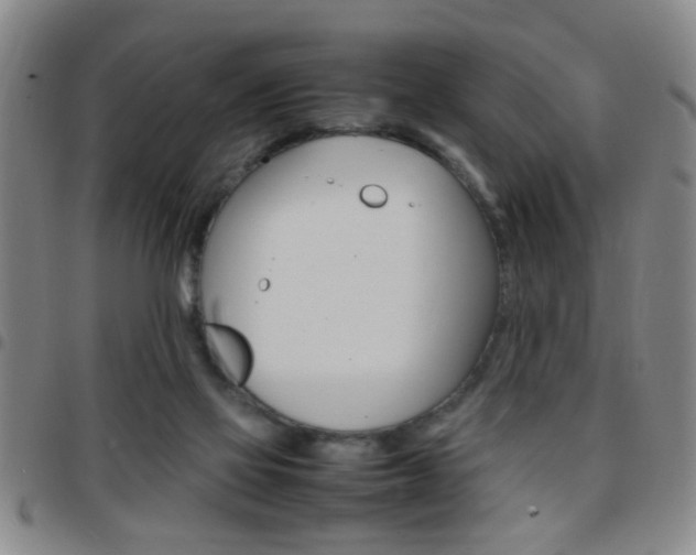 X0000097820069200803140815