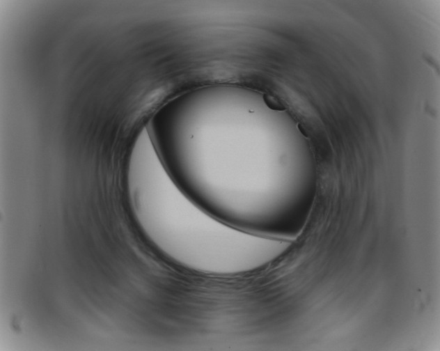 X0000097820072200803140815