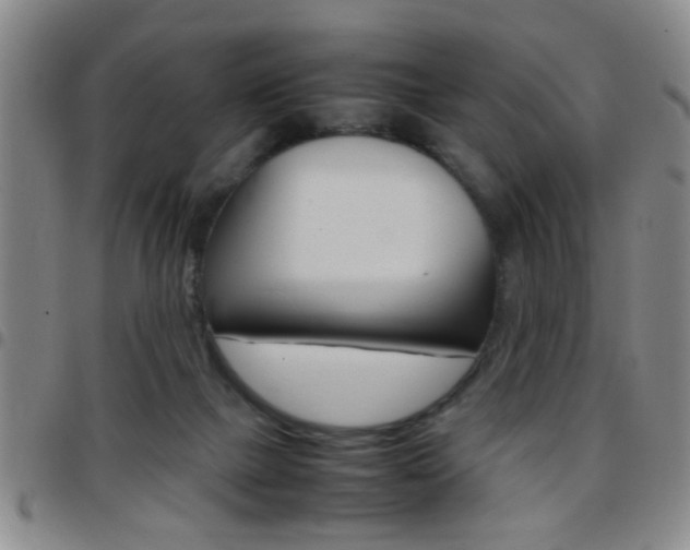 X0000097820073200803140815