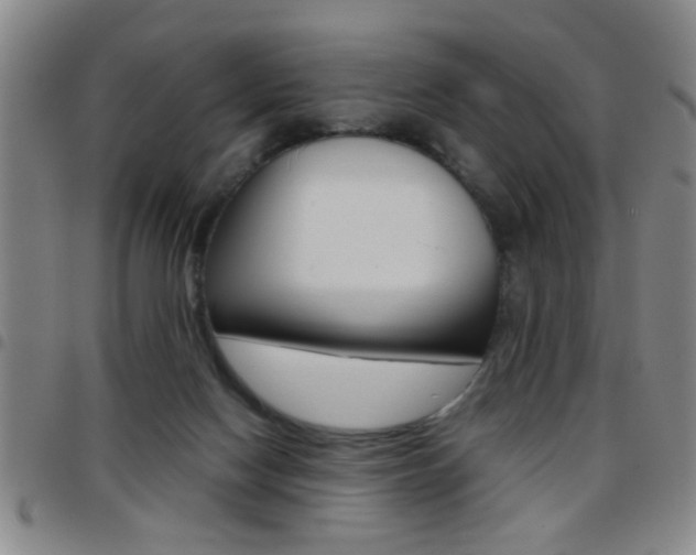 X0000097820074200803140815