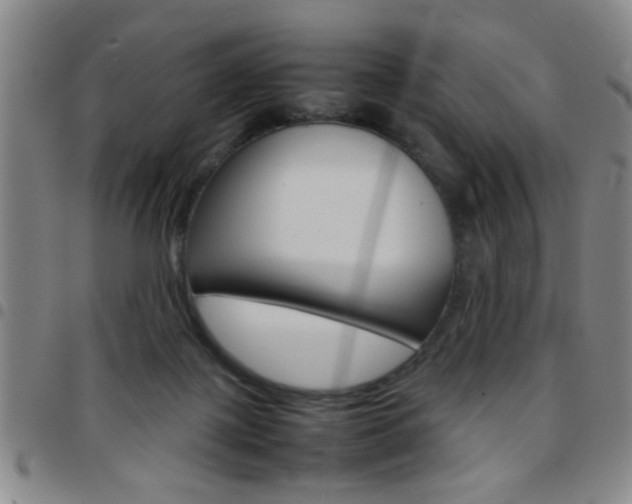 X0000097820075200803140815