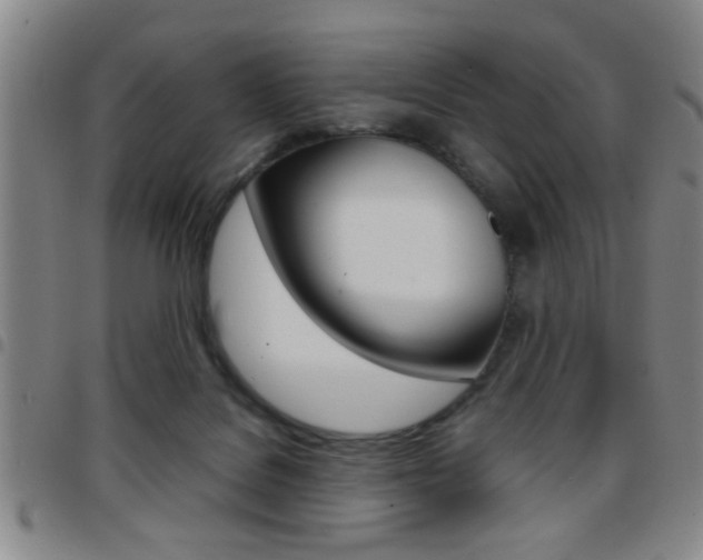 X0000097820076200803140815