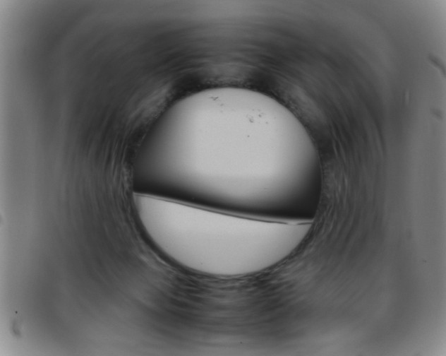 X0000097820077200803140815