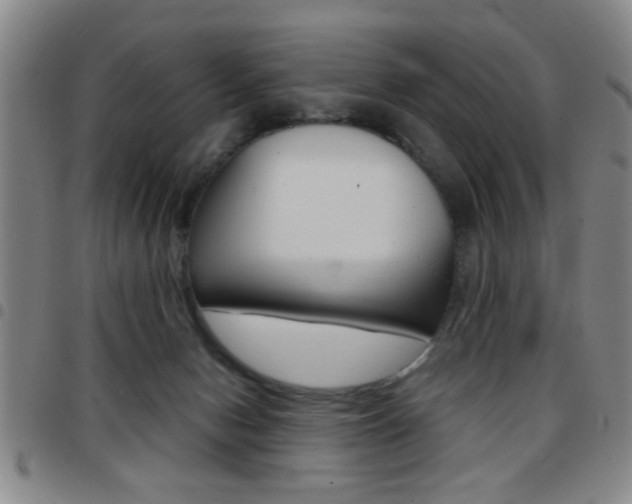 X0000097820078200803140815