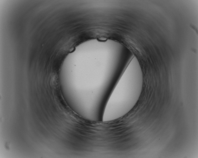 X0000097820079200803140815