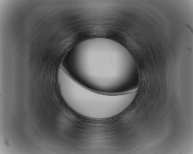 X0000097820080200803140815