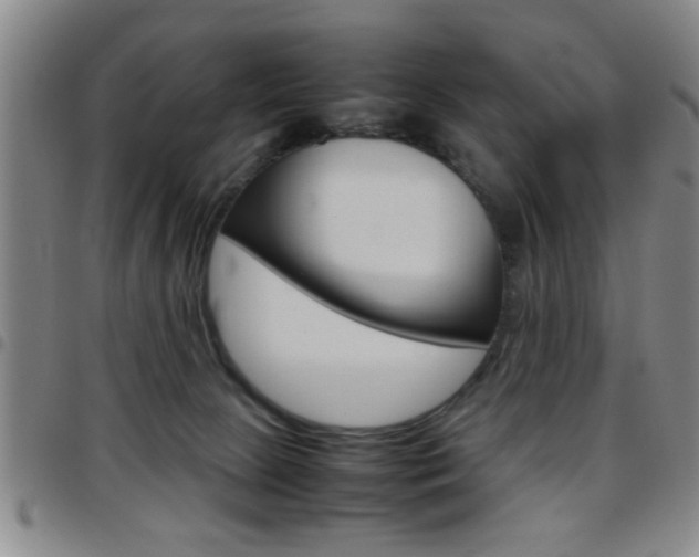 X0000097820081200803140815